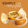 Sweetzo - Werther's Original Caramel Hard Candy, Individually Wrapped Shareable Bite Sized Candies, Office Jar Fillers, 2.36 Ounces (Pack of 3)